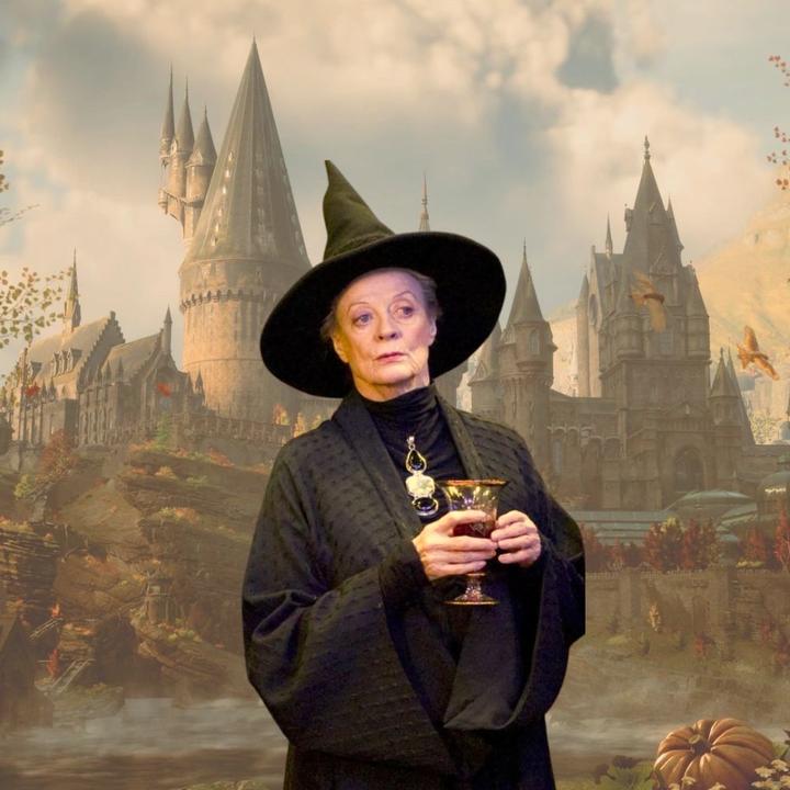 Actual product image Noble Collection Harry Potter Zauberstab Professor Minerva McGonagall (Charak