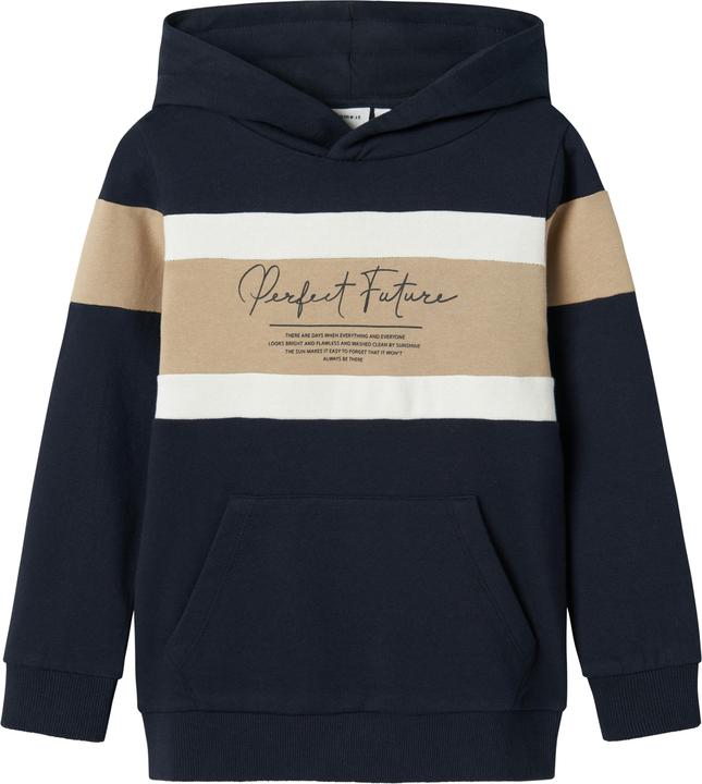Name it Regular Fit Hoodie (116)