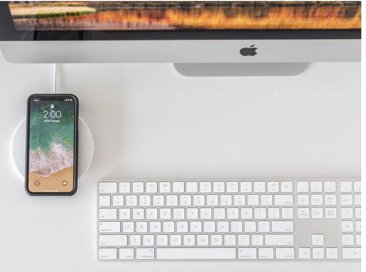 Actual product image Quad Lock Case (Apple iPhone 11 Pro Max)
