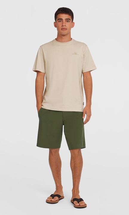 Actual product image O'Neill Hybrid Chino 19 Shorts (36)