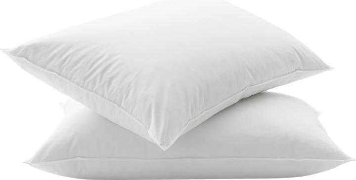 Image du produit Billerbeck Standard 250 (65 x 100 cm)