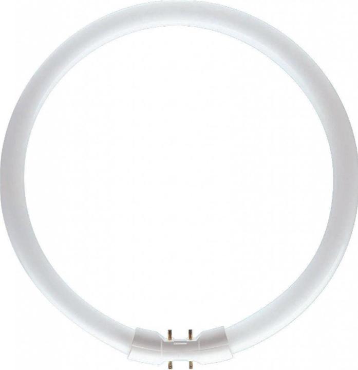 Immagine prodotto Philips Lampada fluorescente Master TL5 Circolare 22W/840 1CT/10 (2GX13, 22 W, 1800 lm, 1 x, G)