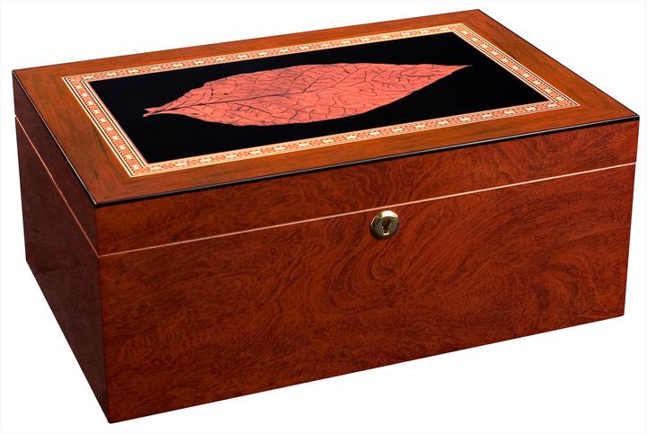 Actual product image adorini Venezia grande Deluxe (150)