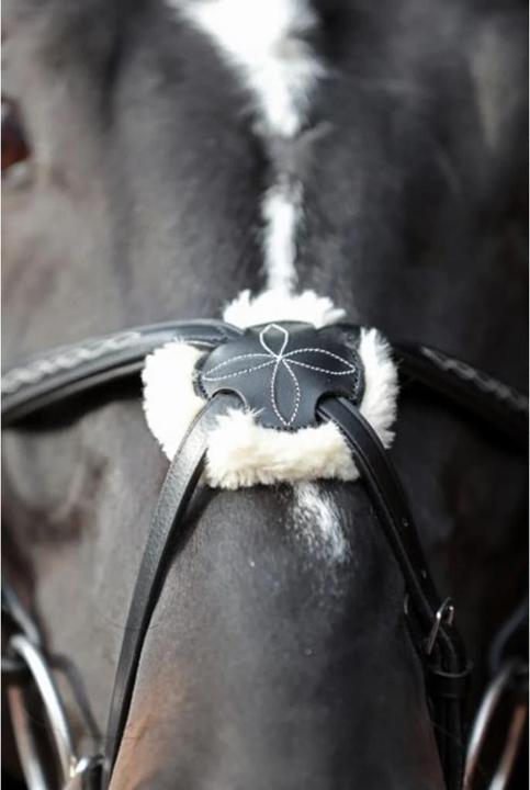 Produktbild Kerbl Trensenzaum Cancun schwarz, Pony