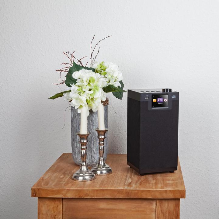 Immagine prodotto Imperial Dabman i610 (DAB, Web radio, FM, VHF, Bluetooth, WiFi)