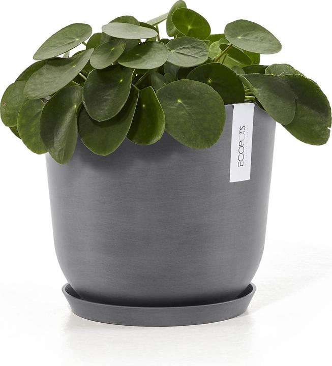 Produktbild Ecopots Saucer Round