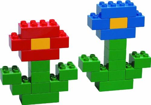 Actual product image LEGO DUPLO basic bricks (6176)