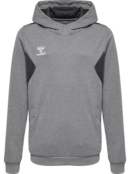 Immagine prodotto hummel Hmlauthentic Pl Hoodie Kids (164)