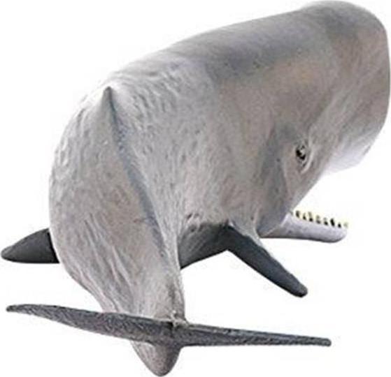 Actual product image Schleich Sperm whale