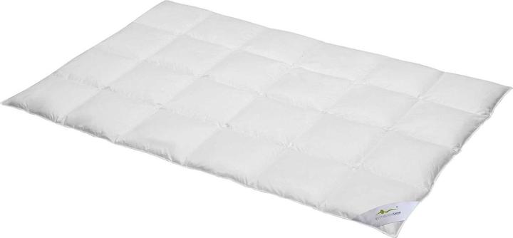 Actual product image BettwarenShop Exclusive (1470 g, 240 x 220 cm)
