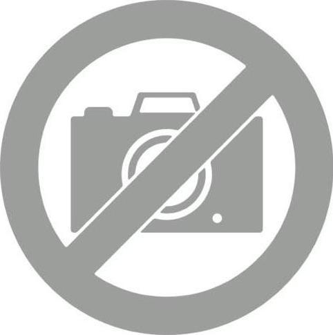 Actual product image Peach CLI-551/PGI-550 (M, Y, C, FC)