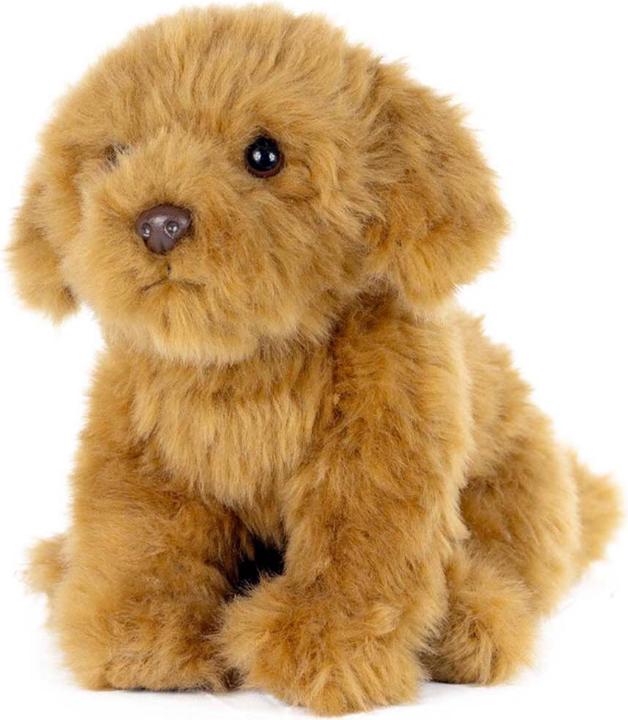 Actual product image Living Nature Cavoodle (20 cm)