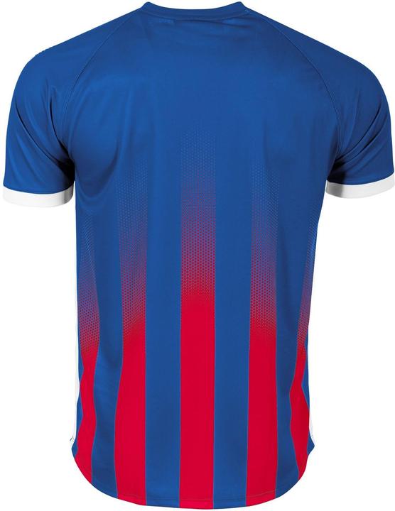 Image du produit Stanno Maillot Vivid (L)