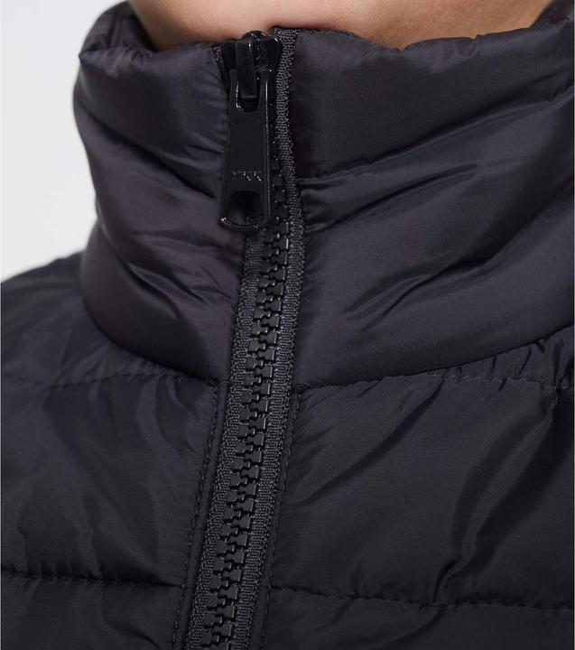Actual product image Premier Equine Dante (46)