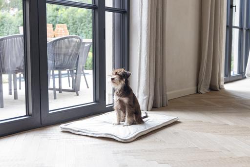 Actual product image Designed by Lotte Nalino (Dog)