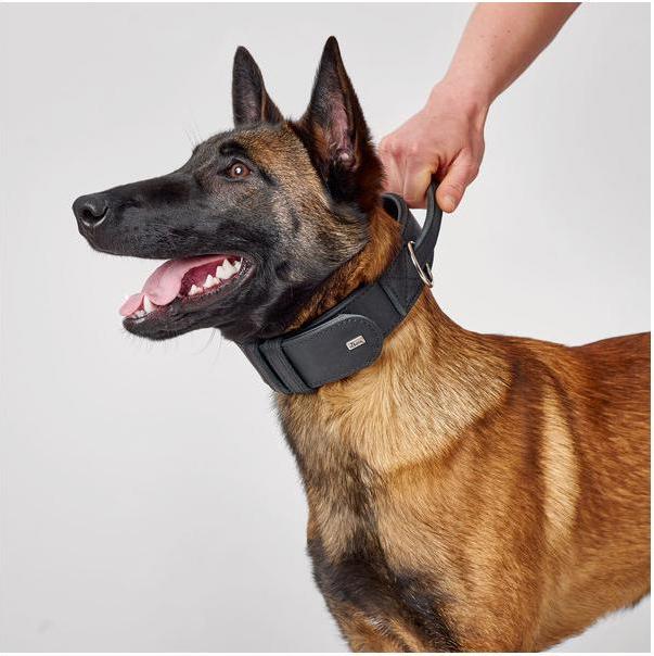 Produktbild Hunter Trainingshalsband mit Gri Larvik (38, 39, 40, 41, 42, 43, 44, 45, 46, 47, Hund, Hundesport)