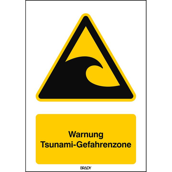 Produktbild Brady W/W056/DE364/ALU-297X420-1, ISO Sicherheitskennzeichnung - Warnung Tsunami-Gefahrenzone