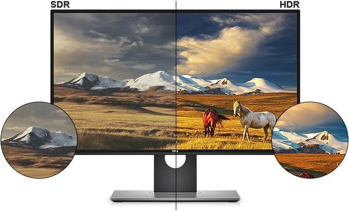 Dell U2518d (2560 x 1440 pixels, 25")