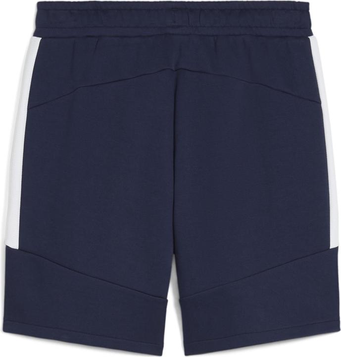 Actual product image Puma teamEVOSTRIPE Shorts (M)