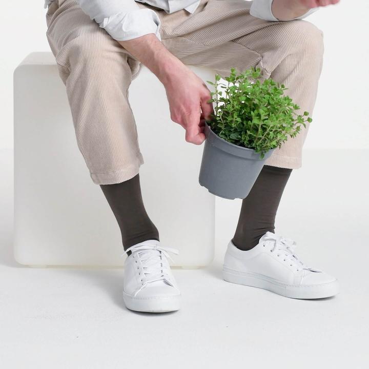 Immagine prodotto Blacksocks Comfort organico (Confezione singola, 45 - 46)
