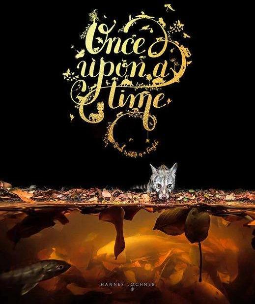 Produktbild Once Upon A Time (Englisch, Hannes Lochner, 2024)