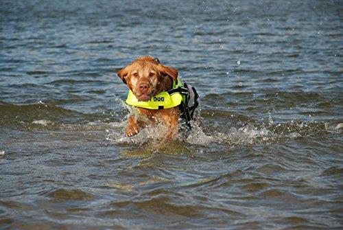 Produktbild Pet Ego Hunde Schwimmweste (XL, Hundeschwimmweste)