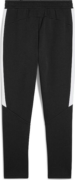 Image du produit Puma teamEVOSTRIPE Pants (XL)