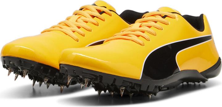 Puma evoSPEED Prep Sprint 3.5 (43)