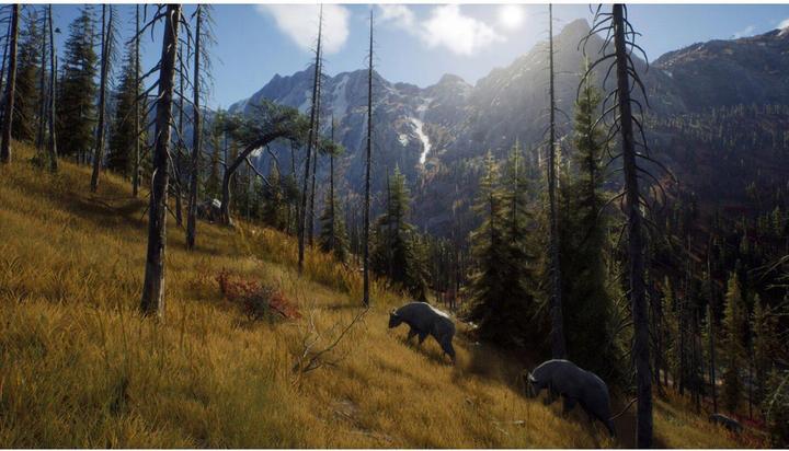 Immagine prodotto THQ Via del cacciatore (Xbox Series X, FR, EN)