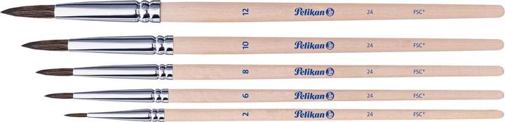 Actual product image Pelikan School colouring brushes brush starter set with 5 hair brushes