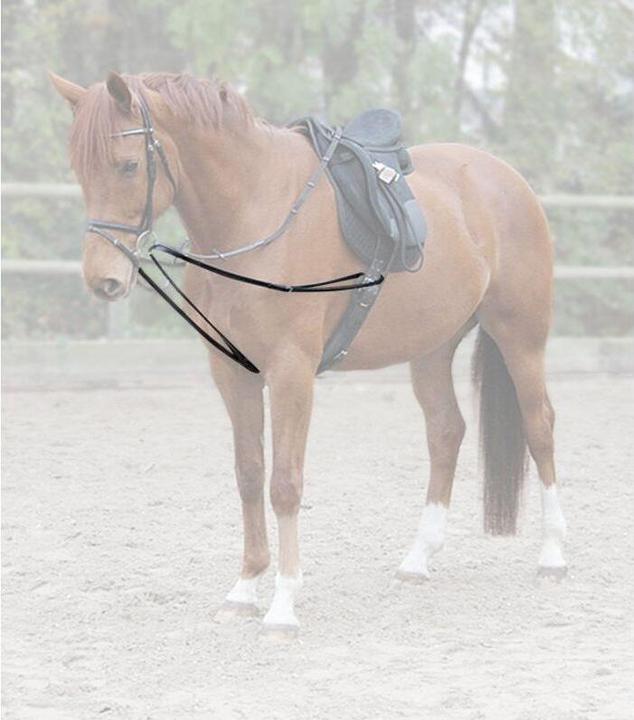Actual product image Wembley Triangle reins