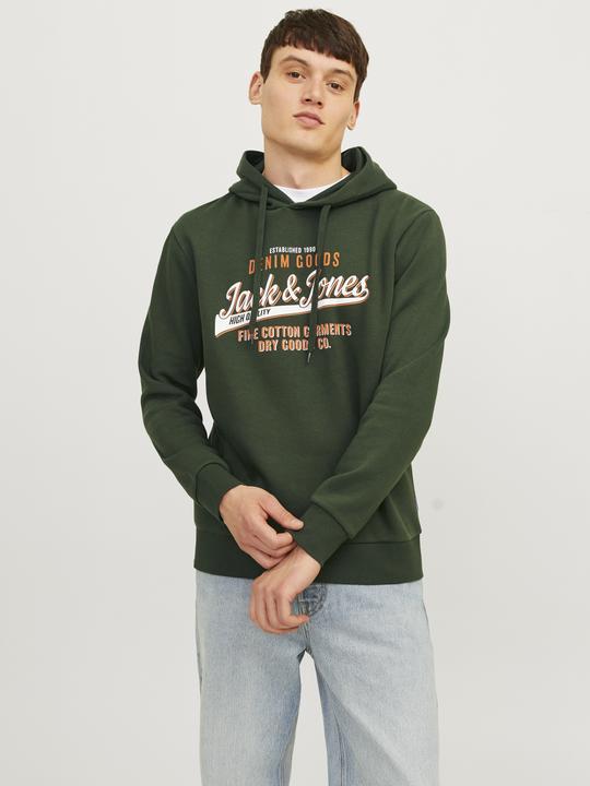 Actual product image Jack & Jones JJELOGO SWEAT HOOD 2 COL 24/25 NOOS (XS)
