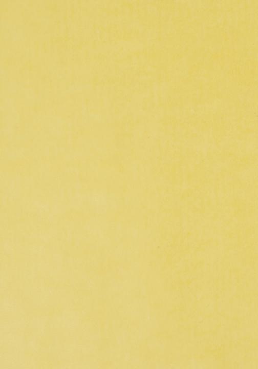 Immagine prodotto Folia Carta trasparente, (L)500 x (A)700 mm, 42 g/mq, colorata (42 g/m², 1 x)