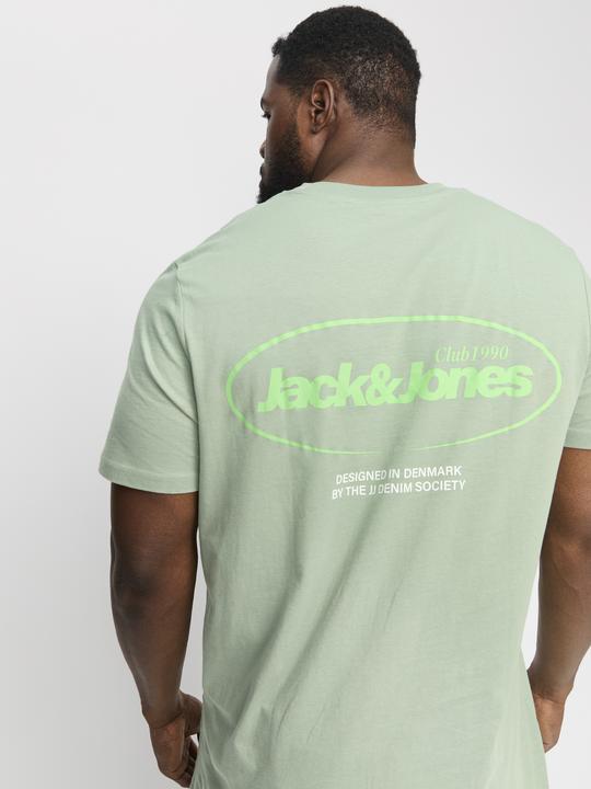 Image du produit Jack & Jones Jjebradley Graphic Tee Ss O-Neck Sn Pls (XXL)