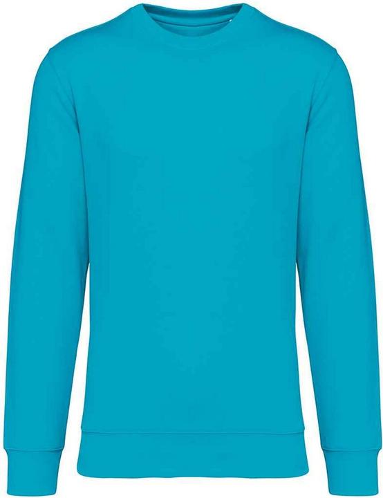 Native Spirit Sweatshirt Rundhalsausschnitt