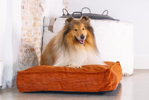 Actual product image Designed by Lotte DBL COUCH CUSHION RIBBED TERRA 100X70X15 (Dog)