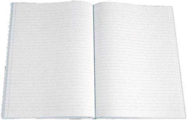 Immagine prodotto Simplex Libro d'affari 2 colonne (80 x)