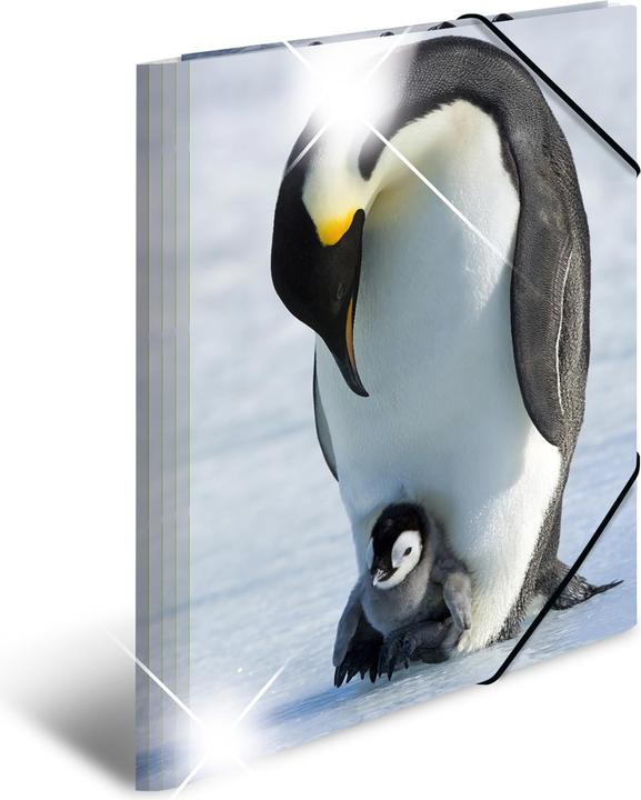 Actual product image HERMA A3 motif folder (A3, 1 x)