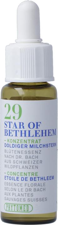 Phytomed Bachblüten No29 Doldiger Milchstern (1 Stück, Flüssigkeit, 22 g)