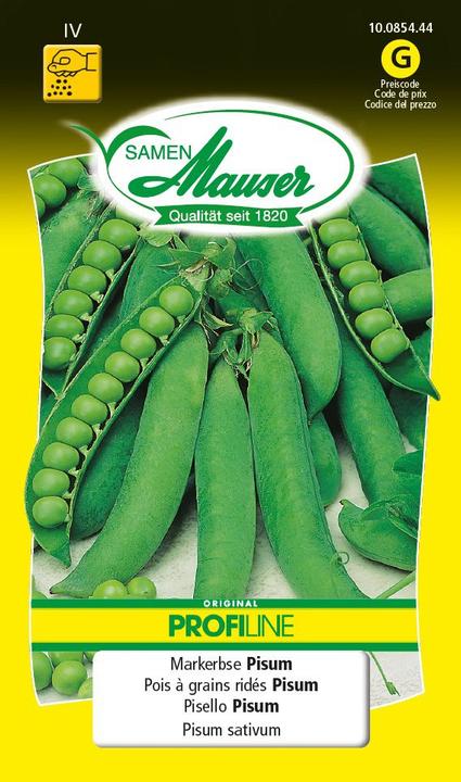 Samen Mauser Pith pea Pisum Profiline (Vegetable seeds)
