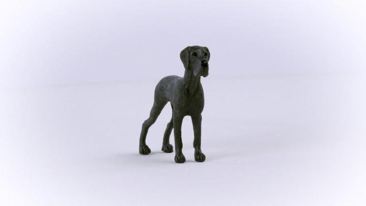 Produktbild Schleich Dänische Dogge