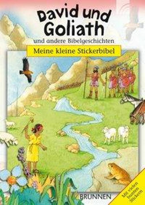 Produktbild David und Goliath