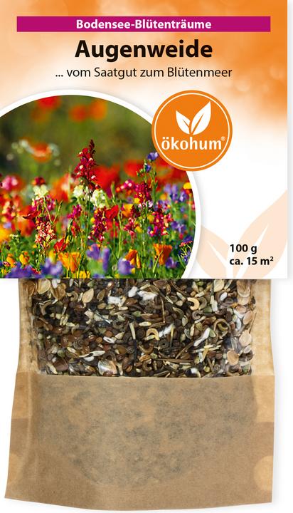 Produktbild Ökohum Bodensee Blütentraum Augenweide (Blumensamen)