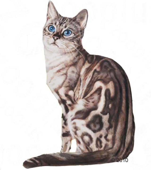 Produktbild Royal Canin Instinctive in Gelee (48 Stk., 85 g)