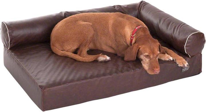 Produktbild zooplus Wellness Hundesofa Divan antik