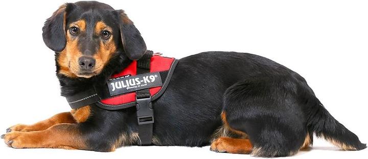 Produktbild Julius-K9 IDC®-Powergeschirr Grösse: Brustumfang (0, Hund, Allgemein)
