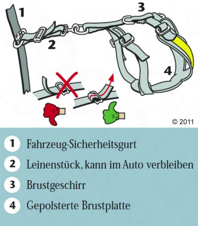 Actual product image Kleinmetall Allsafe (L, Dog, Walks, Jogging, Dog sport, Work)