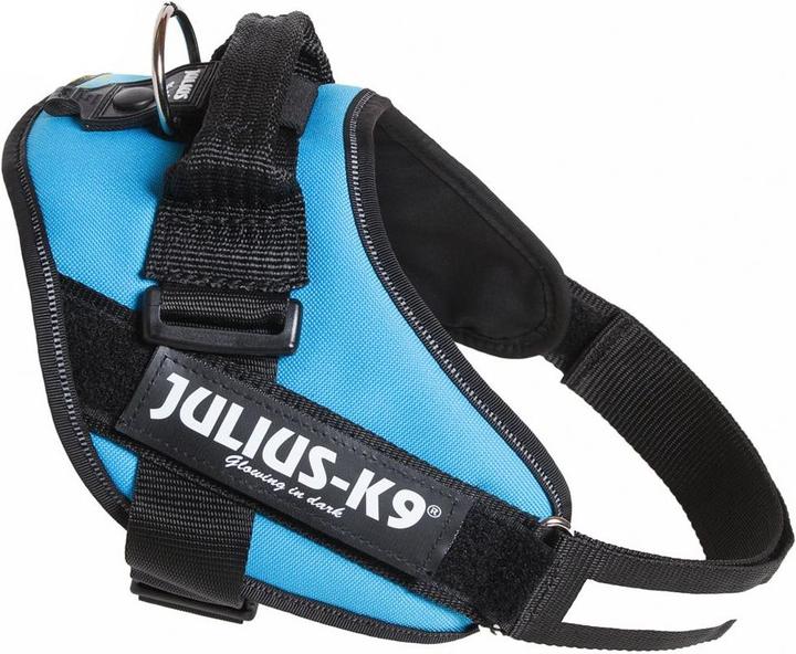 Image du produit Julius-K9 IDC®-Powergeschirr aquamarine Taille 1 : Tour de poitrine 63-85 cm (1, Chien, Sport canin)