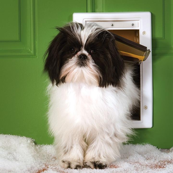 Actual product image PetSafe Extreme Weather (Manual cat flap)