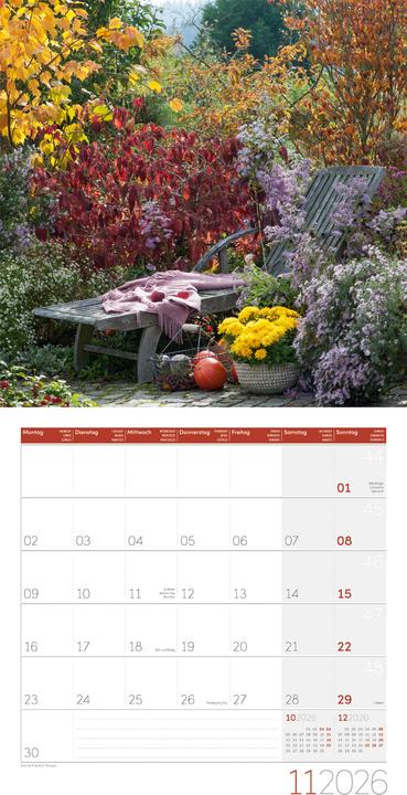 Produktbild In meinem Garten Kalender 2026 - 30x30 (30 x 30 cm, Harter Einband, Deutsch, Französisch, Englisch, Italienisch)